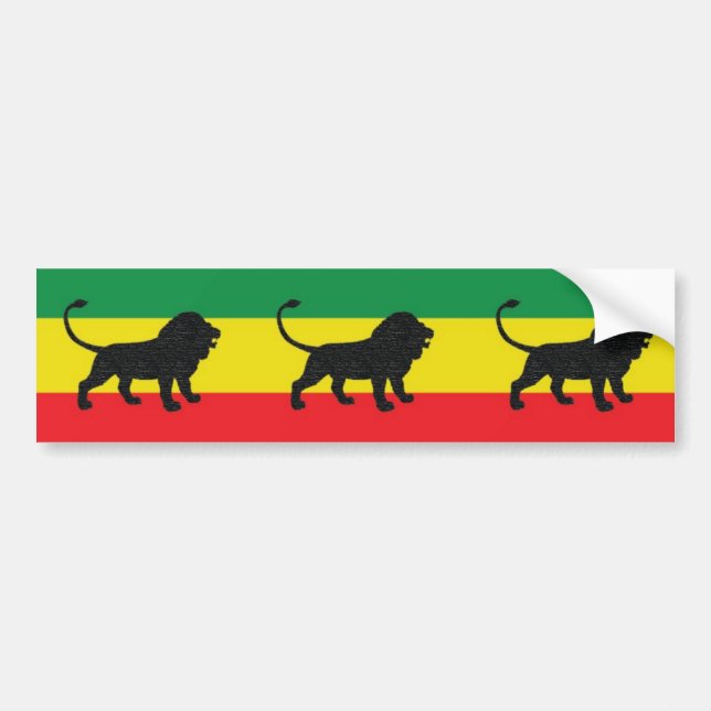 R Lion 1105 nc Bumper Sticker (Front)