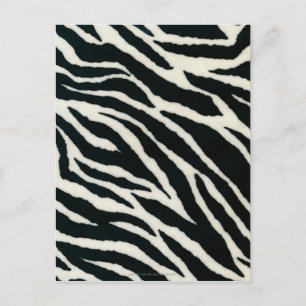 RAB Rockabilly Zebra Print Black & White Postcard