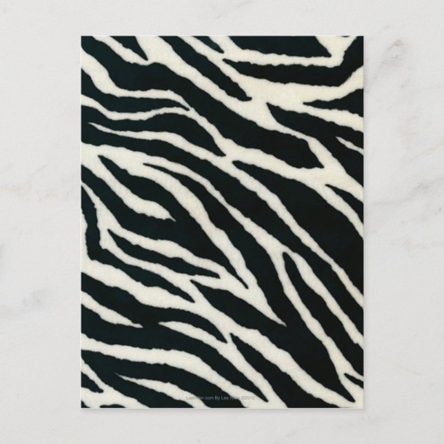 RAB Rockabilly Zebra Print Black & White Postcard (Front)