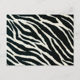 RAB Rockabilly Zebra Print Black & White Postcard