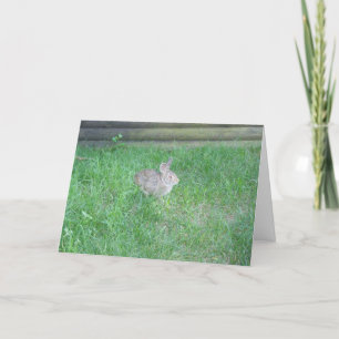 "Rabbit #1" Easter Card