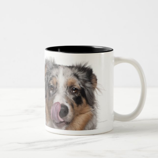 Rabbit (1 year old) lying next to an Australian Two-Tone Coffee Mug (Right)