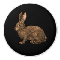 Rabbit 2