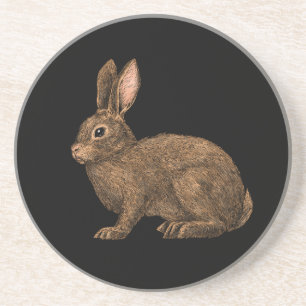 Rabbit 2 coaster