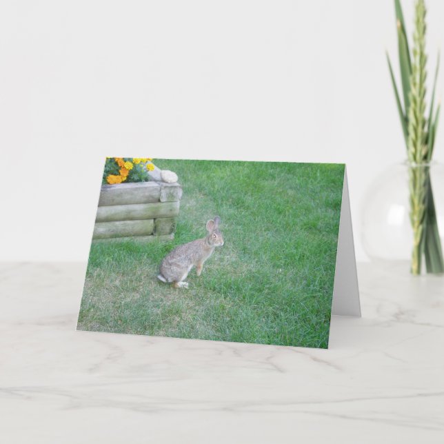 "Rabbit #2" Easter Card (Front)