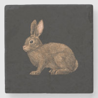 Rabbit 2