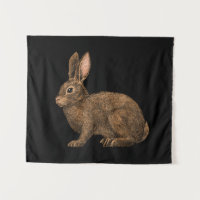 Rabbit 2