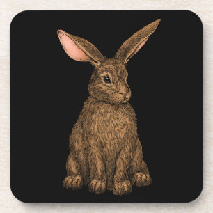 Rabbit 3 coaster