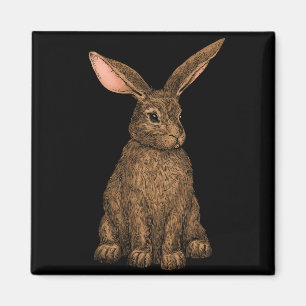 Rabbit 3 magnet