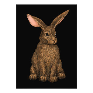 Rabbit 3 photo print