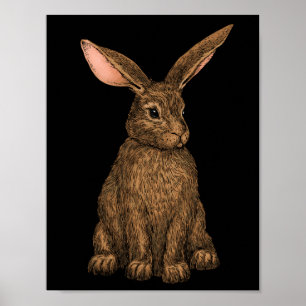 Rabbit 3 poster