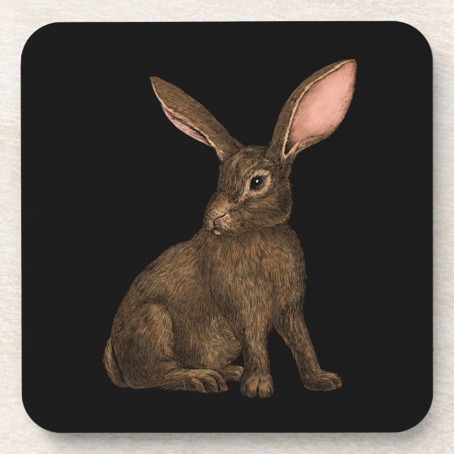 Rabbit 4 coaster (Front)