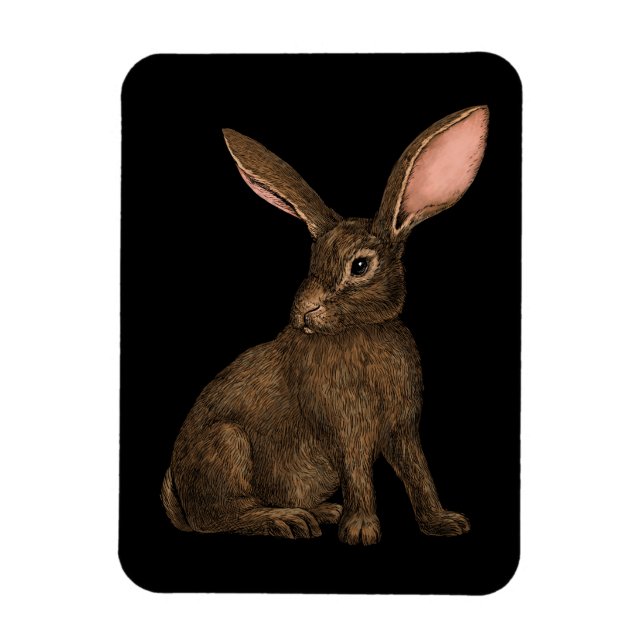 Rabbit 4 magnet (Vertical)