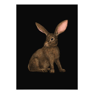 Rabbit 4 photo print