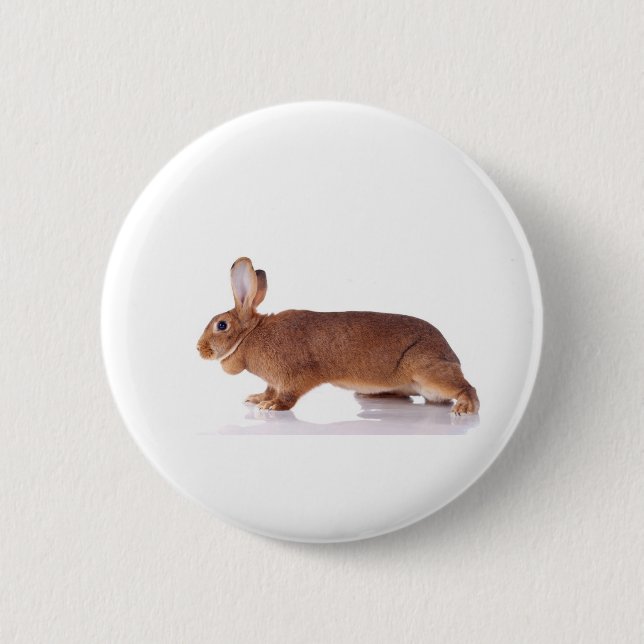 rabbit 6 cm round badge (Front)