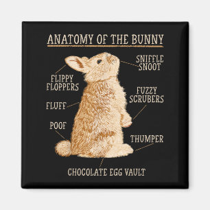 Rabbit Anatomy Bunny Lover Animal Pet Owner Magnet