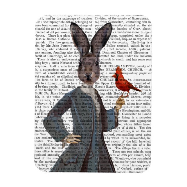 Rabbit and Bird 2 Magnet (Vertical)