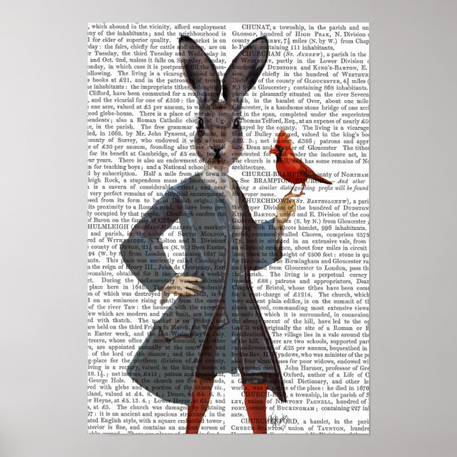 Rabbit and Bird Poster (Front)