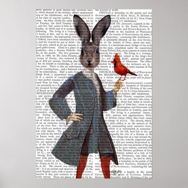 Rabbit And Bird Poster (Front)