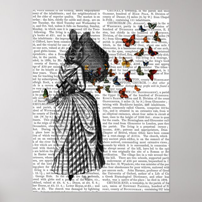Rabbit and Butterfly Parasol Poster (Front)