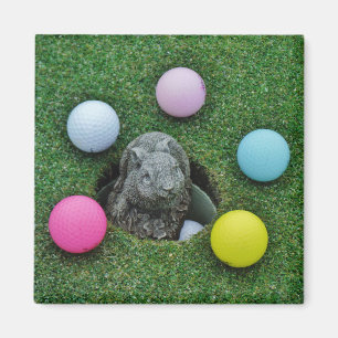 Rabbit and coloured Golf Balls Magnet