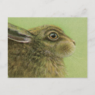 Rabbit animal fine art Postcard
