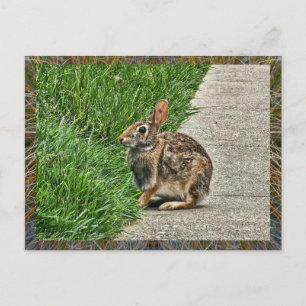 Rabbit art holiday postcard