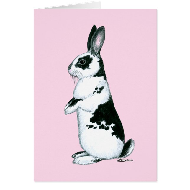 Rabbit:  Black and White (Front)