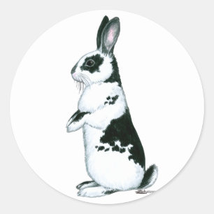Rabbit:  Black and White Classic Round Sticker
