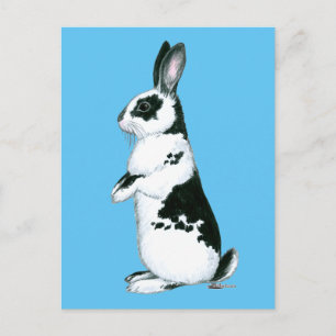 Rabbit: Black and White Postcard