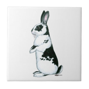 Rabbit: Black and White Tile