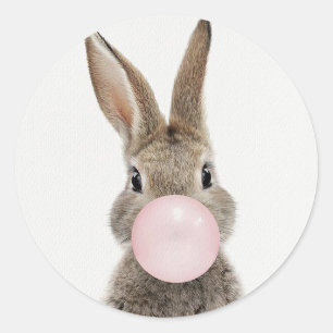 Rabbit Blowing Pink Bubble gum    Classic Round Sticker