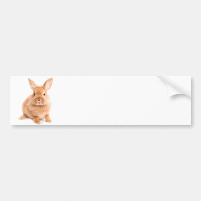 Rabbit Bumper Sticker (Front)