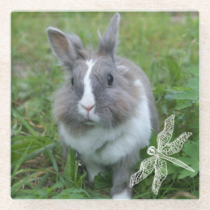 Rabbit bunny glass coaster
