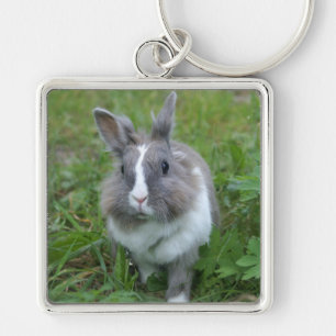 Rabbit bunny key ring