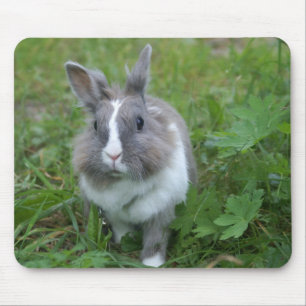 Rabbit bunny mouse mat