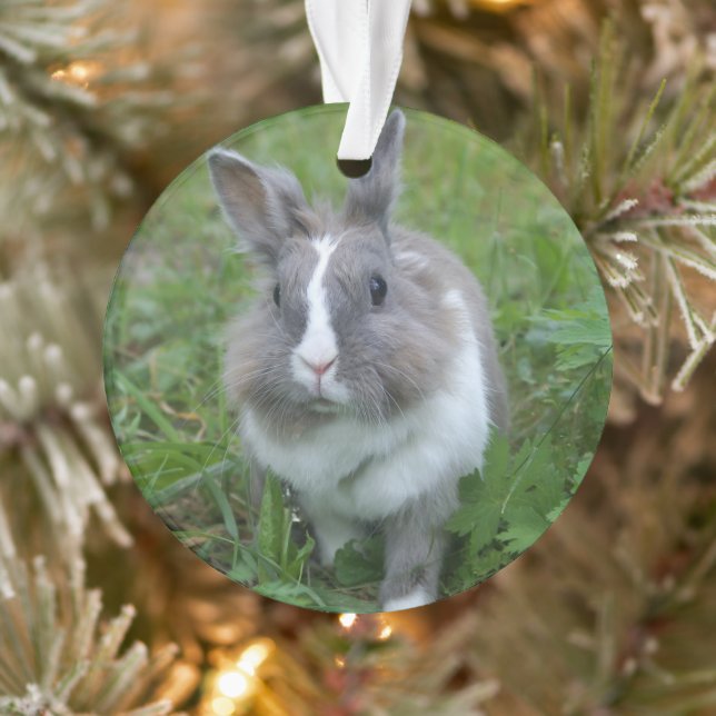 Rabbit bunny ornament (Tree)
