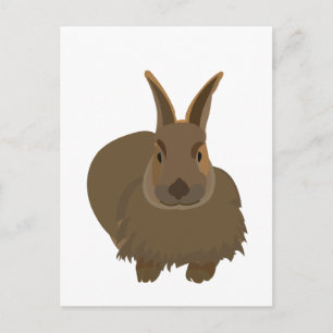 Rabbit Bunny Postcard