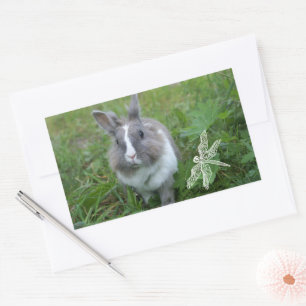 Rabbit bunny rectangular sticker