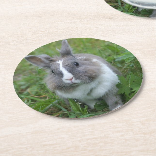 Rabbit bunny round paper coaster (Angled)