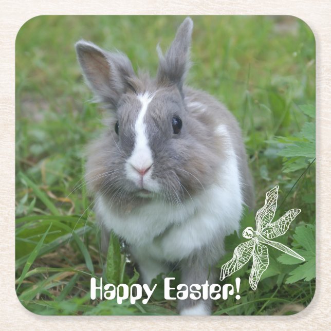 Rabbit bunny square paper coaster (Front)