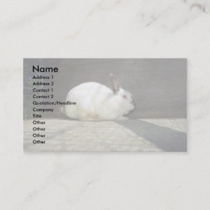 Rabbit Business Card