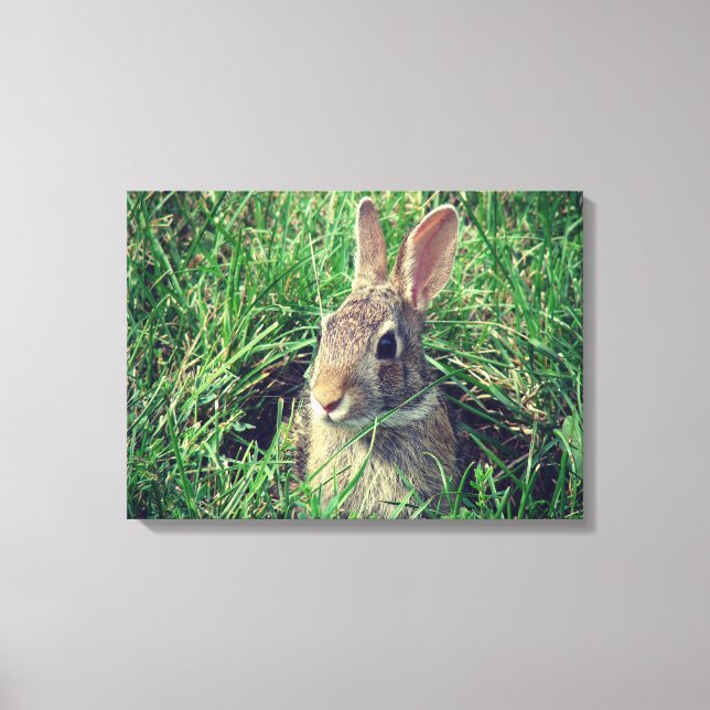 Rabbit Canvas Print (Front)