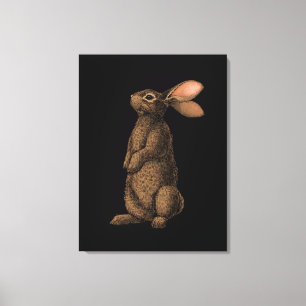 Rabbit Canvas Print