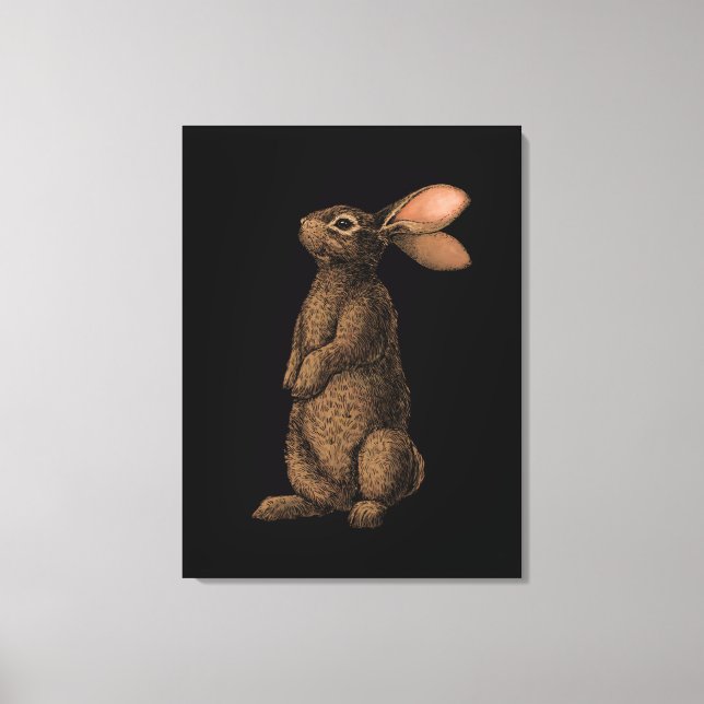 Rabbit Canvas Print (Front)