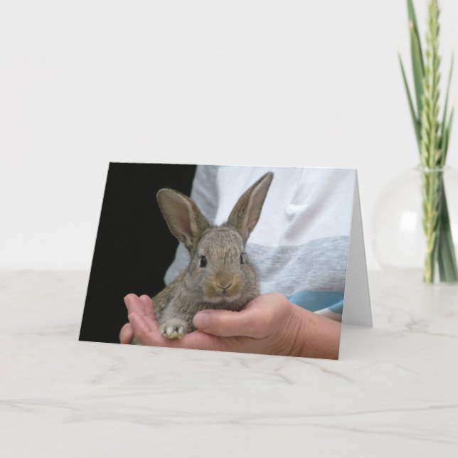 rabbit card (Front)