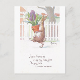 Rabbit Carrying Potted Purple Hyacinth Postcard