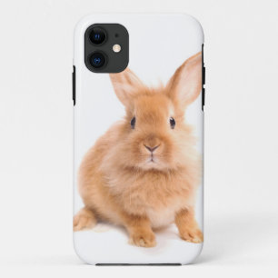 Rabbit iPhone 11 Case