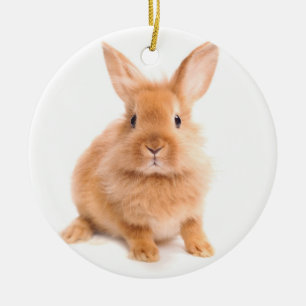 Rabbit Ceramic Tree Decoration