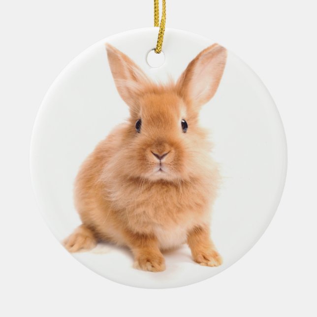 Rabbit Ceramic Tree Decoration (Front)